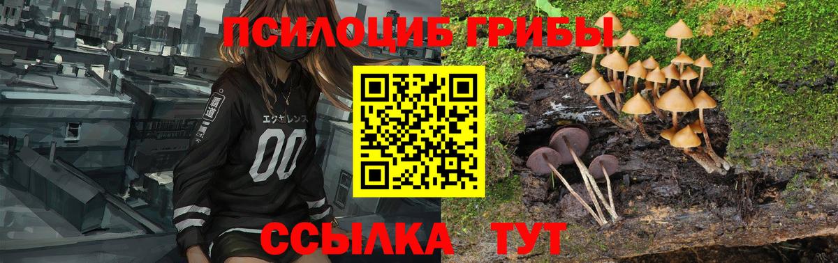 Магнитогорск  Псилоцибиновые грибы мицелий  Вход с VPN 